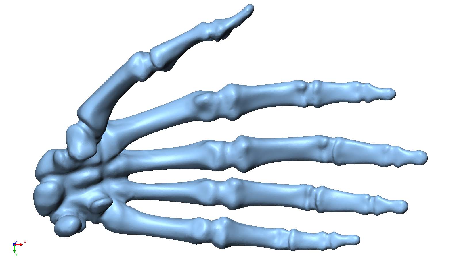 scan-hand- scan-hand-